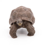 Galapagosschildpad - Speeldieren Papo - In den Olifant