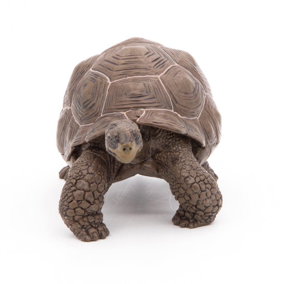 Galapagosschildpad - Speeldieren Papo - In den Olifant