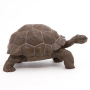 Galapagosschildpad - Speeldieren Papo - In den Olifant