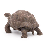 Galapagosschildpad - Speeldieren Papo - In den Olifant