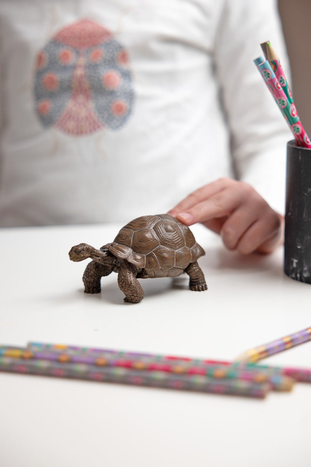 Galapagosschildpad - Speeldieren Papo - In den Olifant