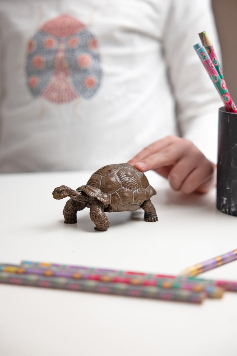 Galapagosschildpad - Speeldieren Papo - In den Olifant