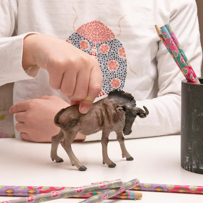 Gnou - Onaf Papo - In den Olifant