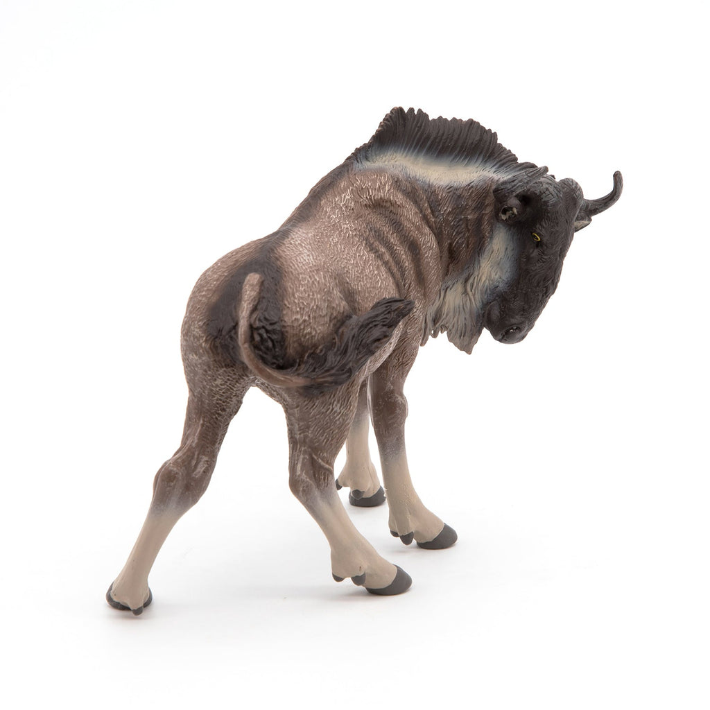 Gnou - Onaf Papo - In den Olifant