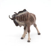 Gnou - Onaf Papo - In den Olifant
