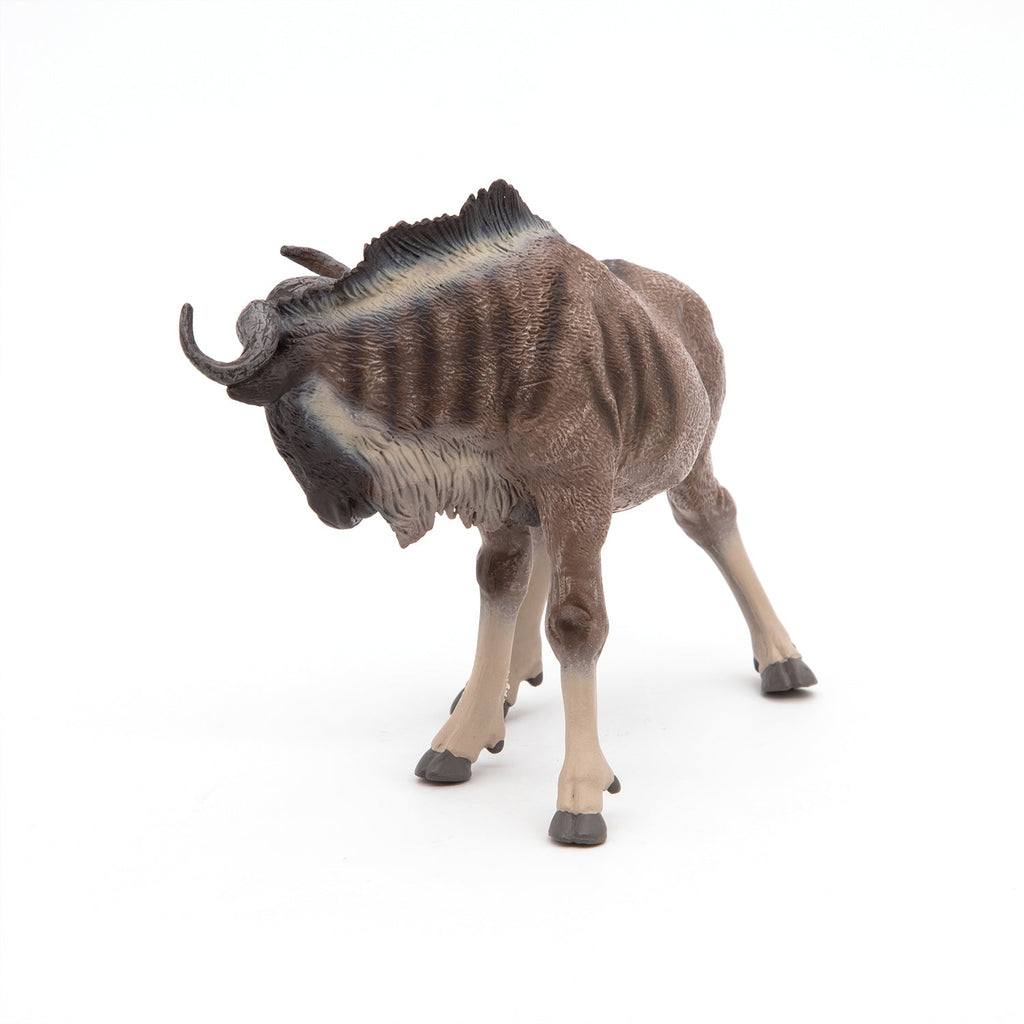 Gnou - Onaf Papo - In den Olifant