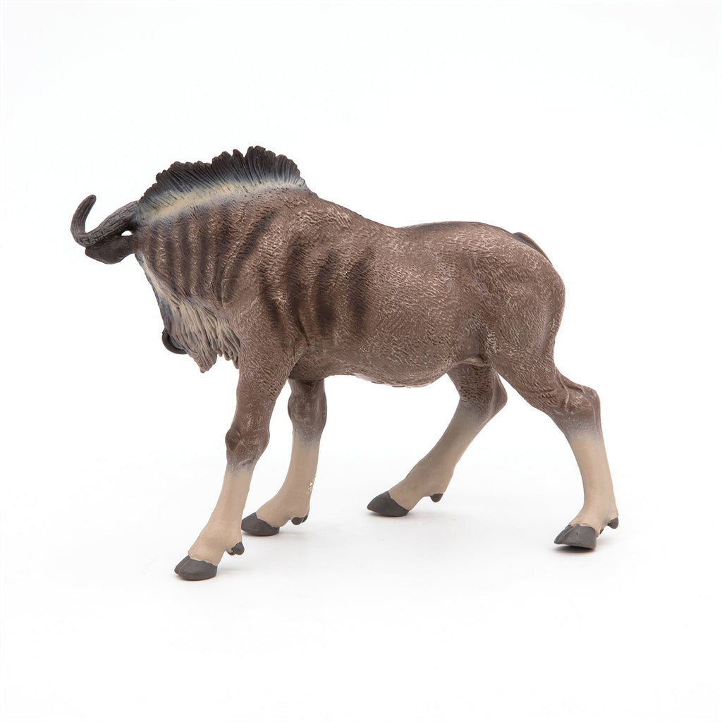 Gnou - Onaf Papo - In den Olifant