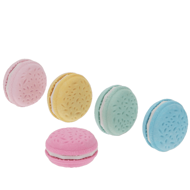 Gommen Macarons - set van 5 - Schrijfwaren REX London - In den Olifant
