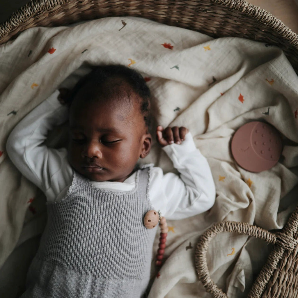 Grote tetradoek Dino - 120 x 120 cm - Tetradoeken Mushie - In den Olifant