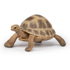 Hermannschildpad - Speeldieren Papo - In den Olifant