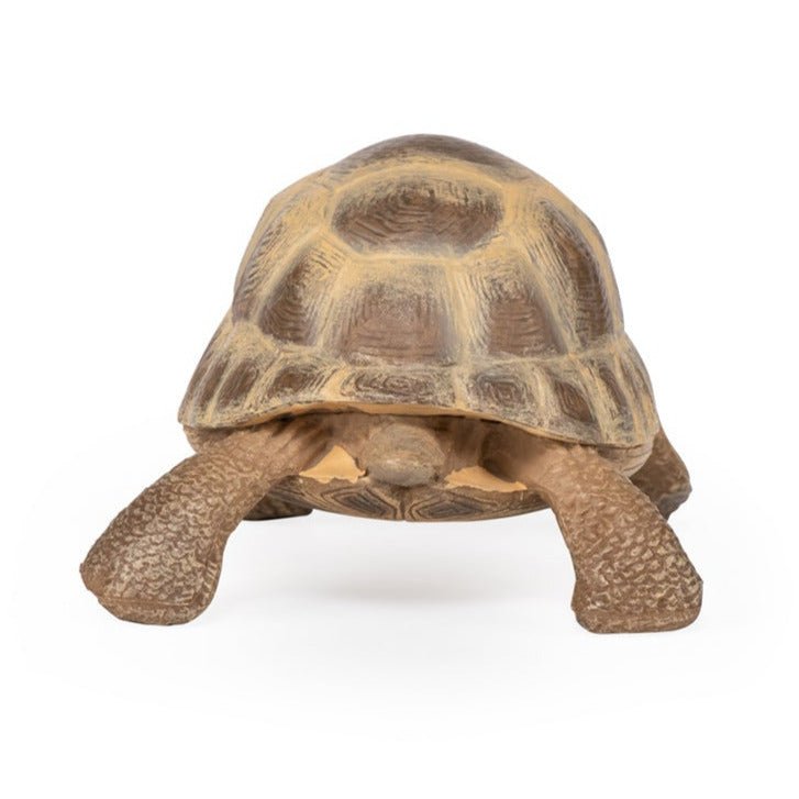 Hermannschildpad - Speeldieren Papo - In den Olifant