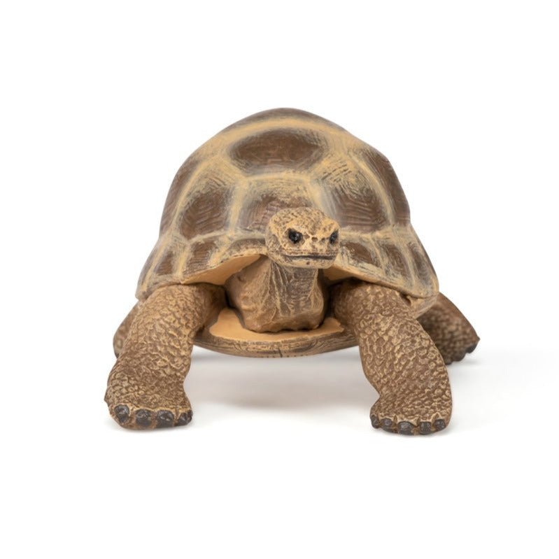 Hermannschildpad - Speeldieren Papo - In den Olifant