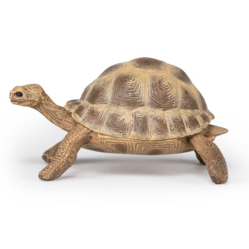 Hermannschildpad - Speeldieren Papo - In den Olifant