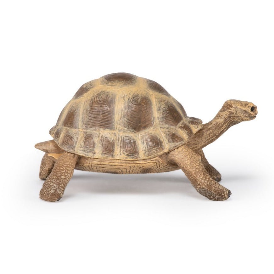 Hermannschildpad - Speeldieren Papo - In den Olifant