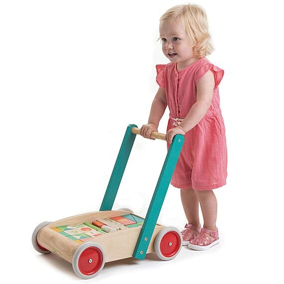 Houten Loopwagen Met 29 Gekleurde Blokken - Tender Leaf Preschool - Trek - en duwspeelgoed Tender Leaf Toys - In den Olifant