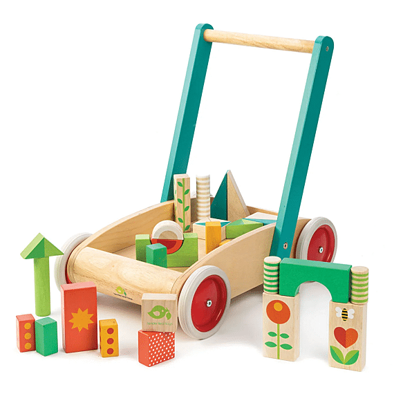 Houten Loopwagen Met 29 Gekleurde Blokken - Tender Leaf Preschool - Trek - en duwspeelgoed Tender Leaf Toys - In den Olifant