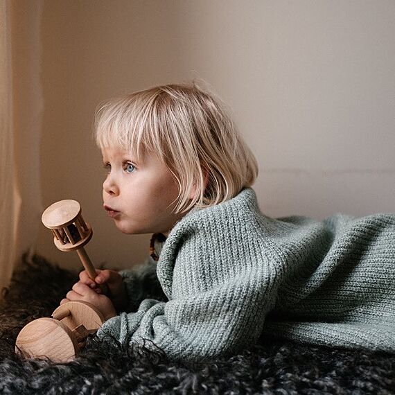 Houten Rammelaar In Doosje | Nighthawk - Rammelaars Wooden Story - In den Olifant