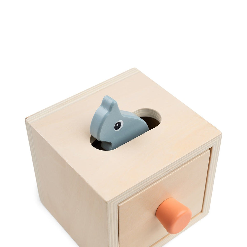 Houten sorteerspeeltje - Hide&Find Box Nozo Colour mix - Houten babyspeelgoed Done by Deer - In den Olifant