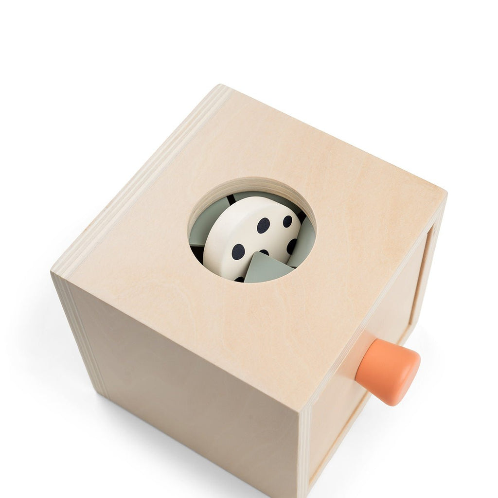 Houten sorteerspeeltje - Hide&Find Box Nozo Colour mix - Houten babyspeelgoed Done by Deer - In den Olifant