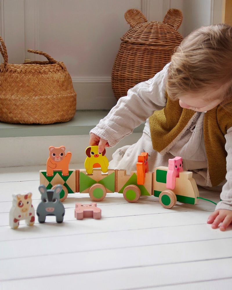 Houten Speelgoedtrein - Trainimo Jungle - Houten babyspeelgoed Djeco - In den Olifant