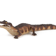 Kaaiman - Speelfiguren Papo - In den Olifant