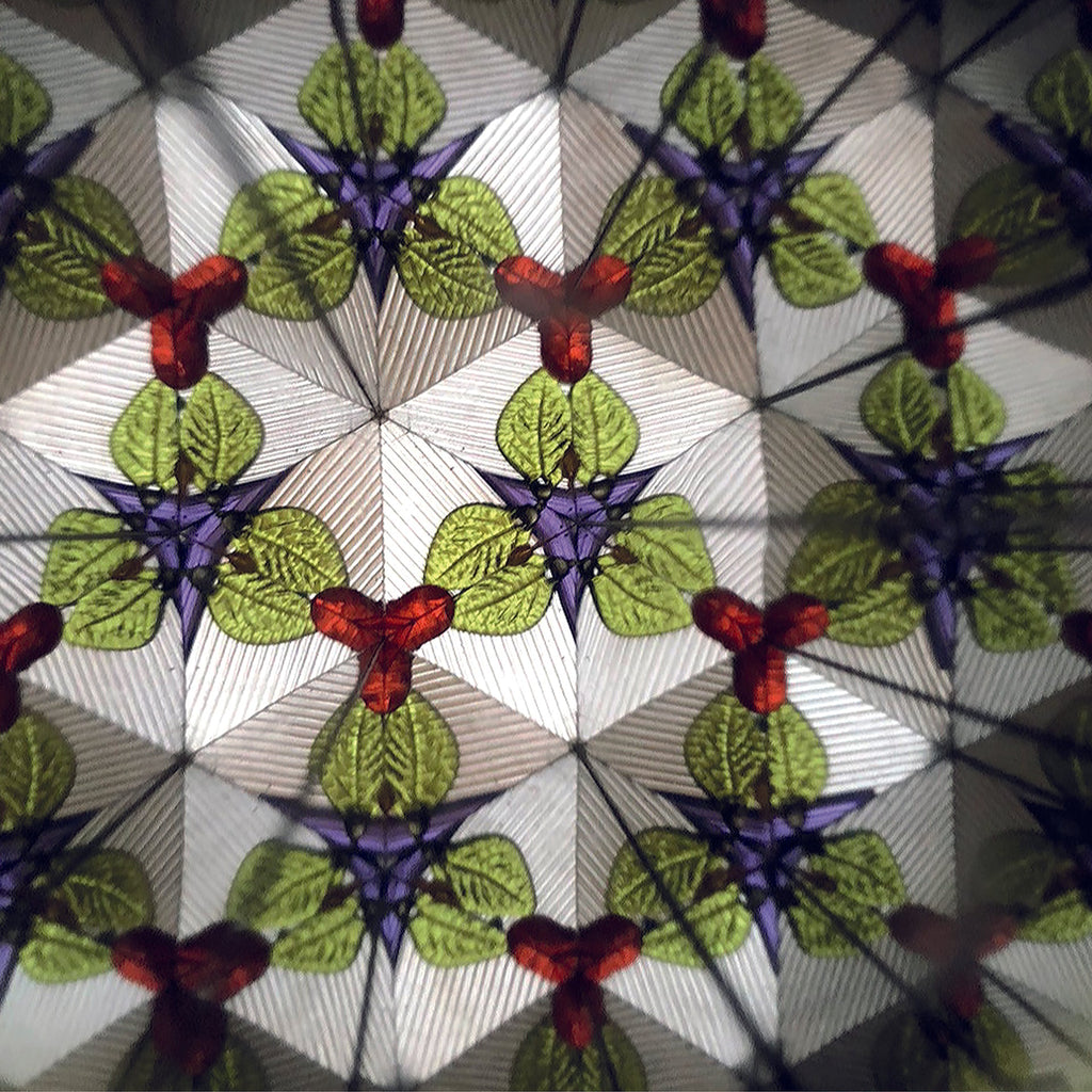 Kaleidoscope - Unicorn - Kleine cadeautjes Legami - In den Olifant