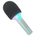 Karaoke microfoon groen - Kidymic - Muziekinstrumenten Kidywolf - In den Olifant