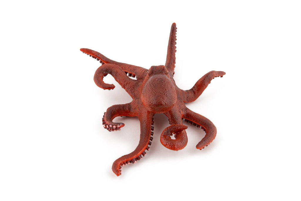 Kleine Octopus - Speeldieren Papo - In den Olifant