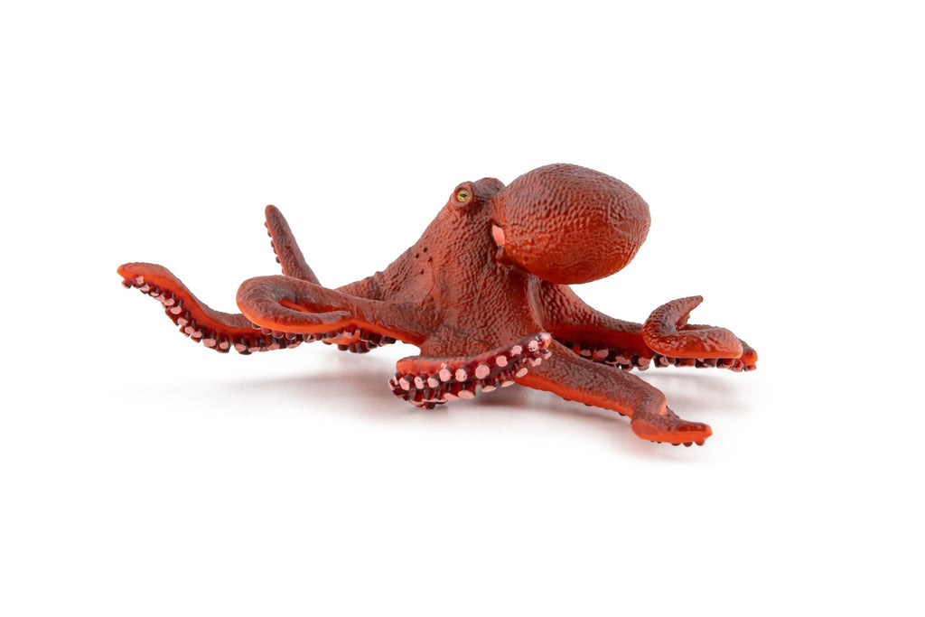 Kleine Octopus - Speeldieren Papo - In den Olifant