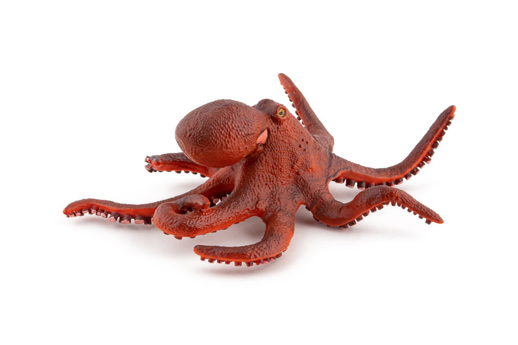 Kleine Octopus - Speeldieren Papo - In den Olifant