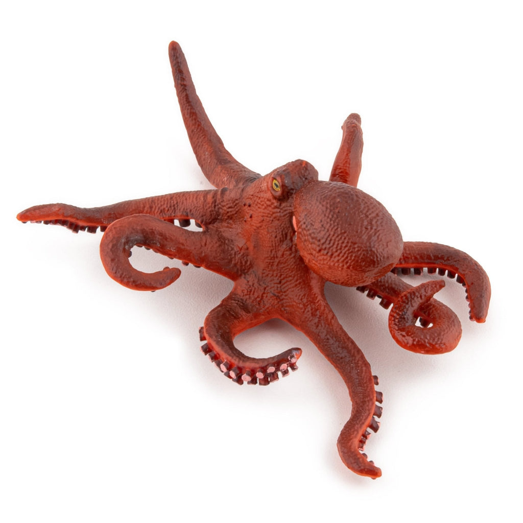 Kleine Octopus - Speeldieren Papo - In den Olifant