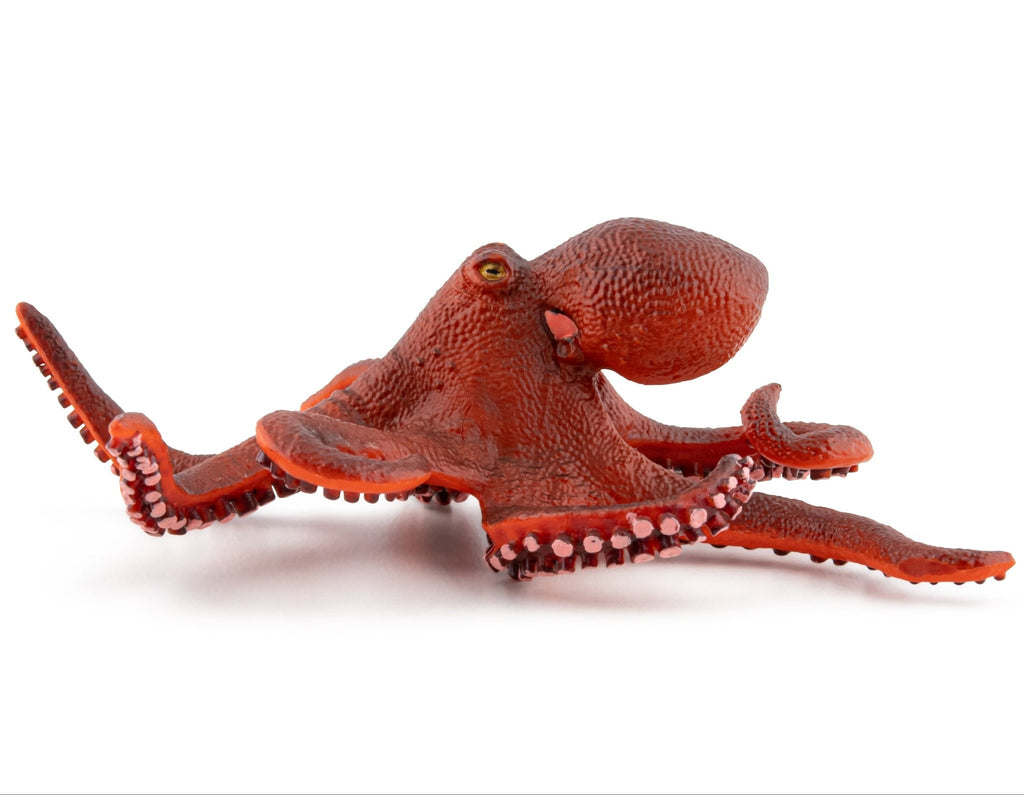 Kleine Octopus - Speeldieren Papo - In den Olifant