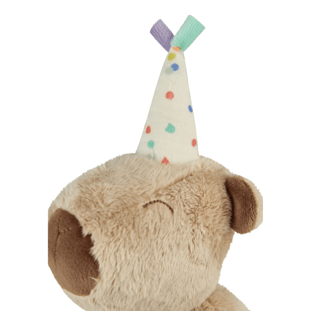 Knuffel Capibara Carli - 24 cm - Knuffels Sterntaler - In den Olifant