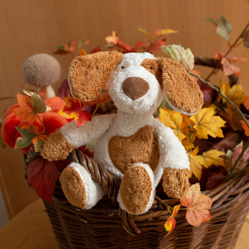 Knuffel Hond Cuddly Friend Dog Green - 28 cm - Huisdieren Sigikid - In den Olifant