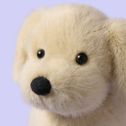 Knuffel Hond Golden Puppy - 21 cm - Huisdieren Jellycat - In den Olifant