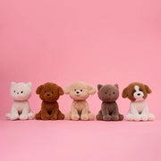 Knuffel Kat Dolly the Ragdoll ECO - 18 cm - Huisdieren Bon Ton Toys - In den Olifant