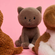 Knuffel Kat Freddy the British Shorthair in giftbox ECO - 18 cm - Huisdieren Bon Ton Toys - In den Olifant