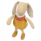 Knuffel konijn - Cuddly Friend Rabbit Green (C) - Boerderijdieren Sigikid - In den Olifant