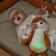 Knuffel met nachtlampje en geluid Vos Filou - 31 cm - Nachtlampjes Sterntaler - In den Olifant