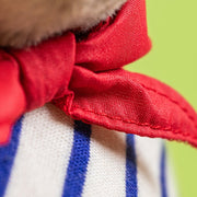 Knuffel Timmy Turtle Romantic Outfit - 21 cm - Wilde dieren Jellycat - In den Olifant