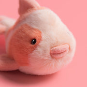 Knuffel Vis Fancy Carp - 20 cm - Zeedieren Jellycat - In den Olifant