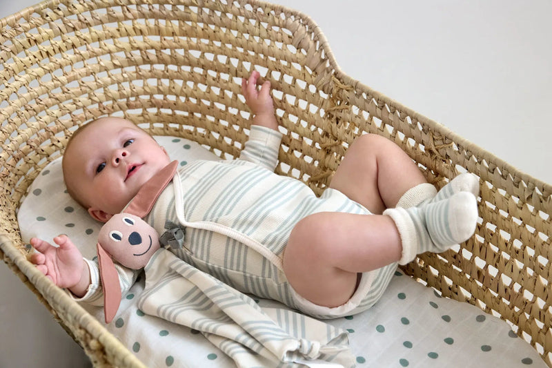 Knuffeldoekje Dog - 23 × 23 cm - Knuffeldoekjes Lässig - In den Olifant