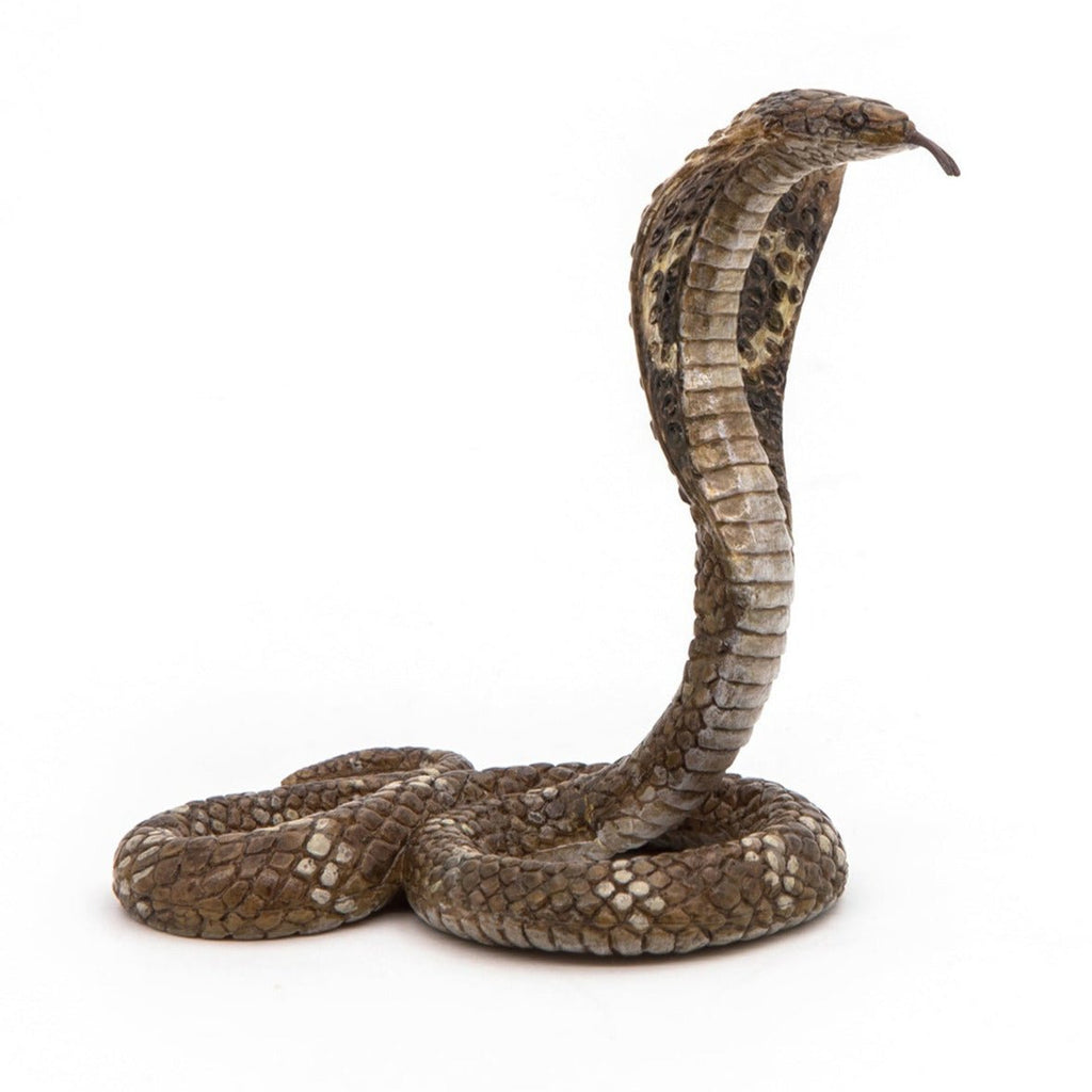 Koningscobra - Speeldieren Papo - In den Olifant