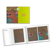 Kraskaarten - Dinosaurussen - Kraskaarten Djeco - In den Olifant