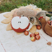 Kussen Appel - 30 x 30 cm - Kussens Lorena Canals - In den Olifant