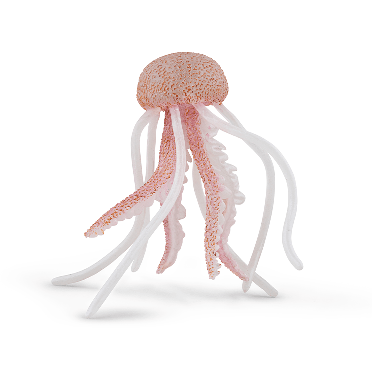 Kwal - Zeedieren Papo - In den Olifant