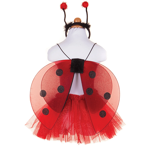 Verkleedset Glitter Ladybug