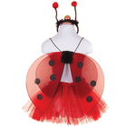 Verkleedset Glitter Ladybug