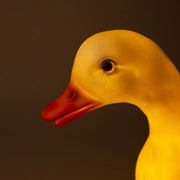 Lamp Eend Gans Klein - 29 cm - Nachtlampjes Egmont Toys - In den Olifant