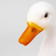 Lamp Eend Gans Klein - 29 cm - Nachtlampjes Egmont Toys - In den Olifant